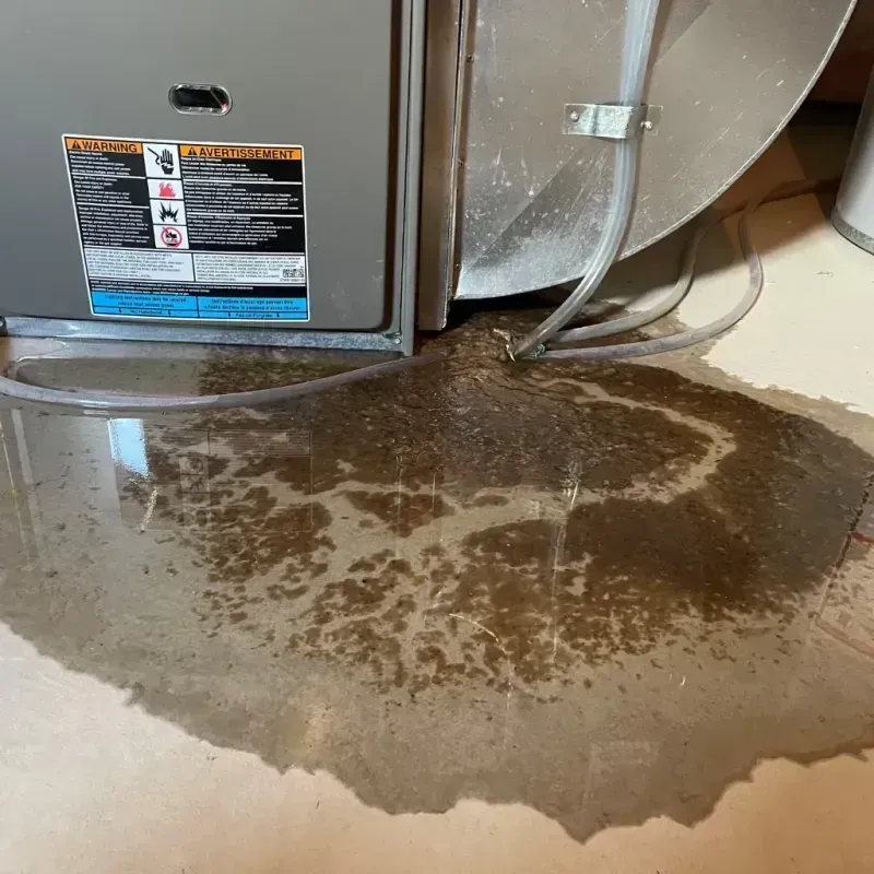 Appliance Leak Cleanup in Price, UT